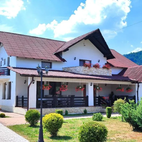 Pensiunea Sub Horiță, hotel in Leordina
