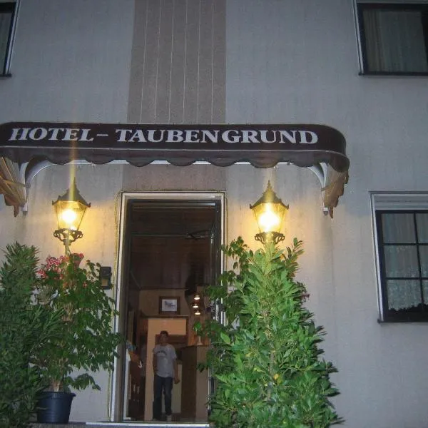 Airport-Hotel zum Taubengrund, отель в городе Кельстербах