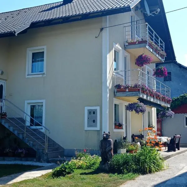 Drago Kremenjaš, hotel v destinaci Delnice