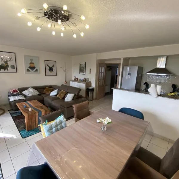 Chaleureux appartement T4 cosy, Font Romeu Odeillo Via, hotel v destinácii Font Romeu Odeillo Via