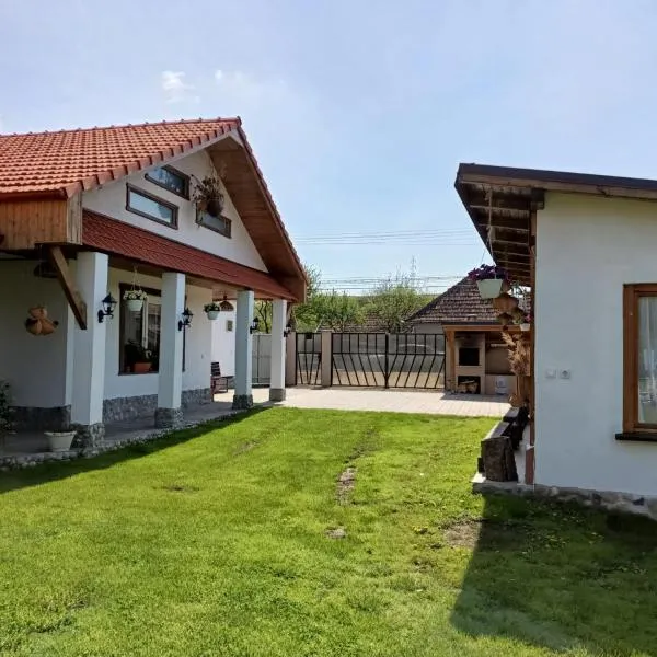 Viesnīca Casa Bobo 10 pilsētā Tîrnăveni