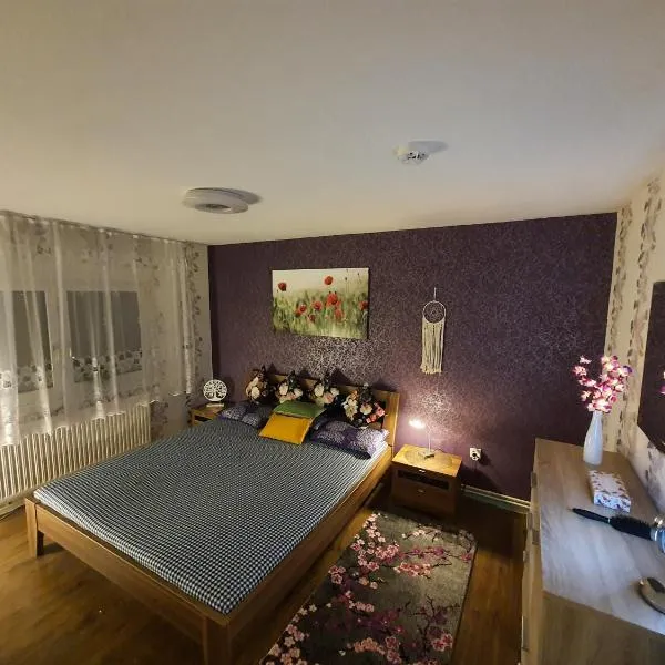 2 Bedroom Apartment with Terrace & Beautiful View, hotel u gradu Vöhrenbach