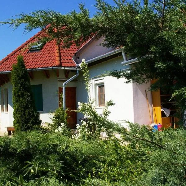 Gábor apartmanok, hotel in Abádszalók