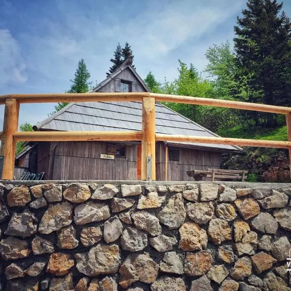 Chalet Pehta Velika Planina，Stahovica的飯店