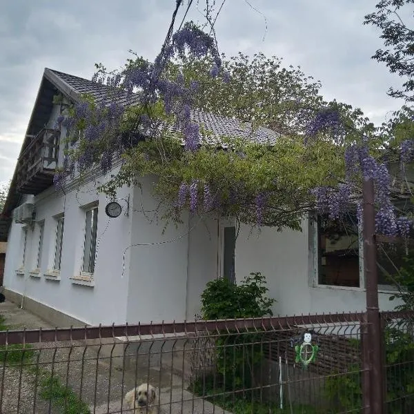 Casa Mocanu, hotel v destinaci Giurgiu