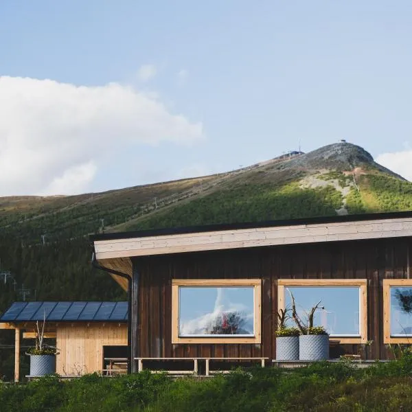 Lofsdalens Fjällhotell & Hotellbyns Lägenheter, hotel v destinaci Lofsdalen