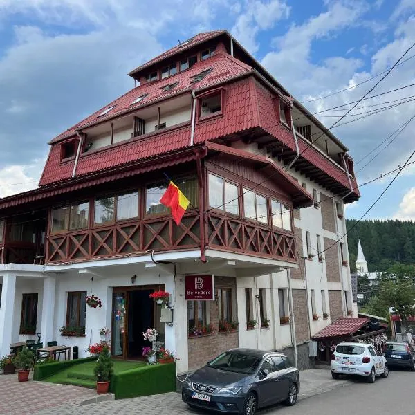 Hotel Belvedere, hotel in Poiana Negrii
