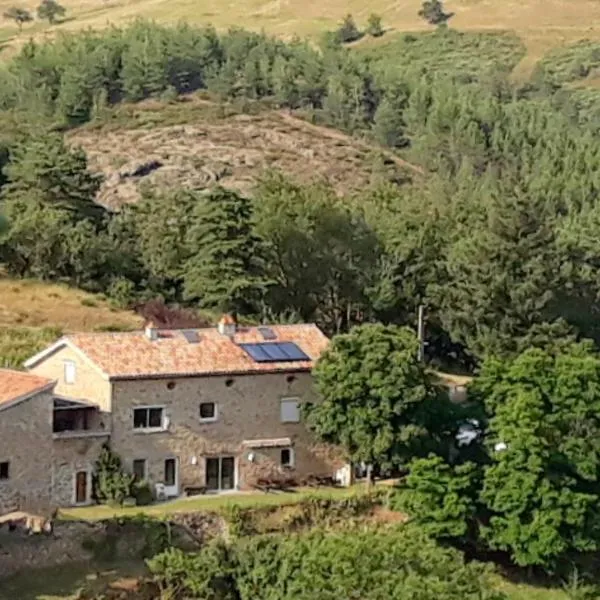 Gîte de la chanal 07, hotel en Saint-Julien-Molin-Molette