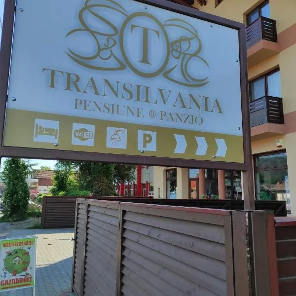 Pensiunea Transilvania, hotel in Izvoare