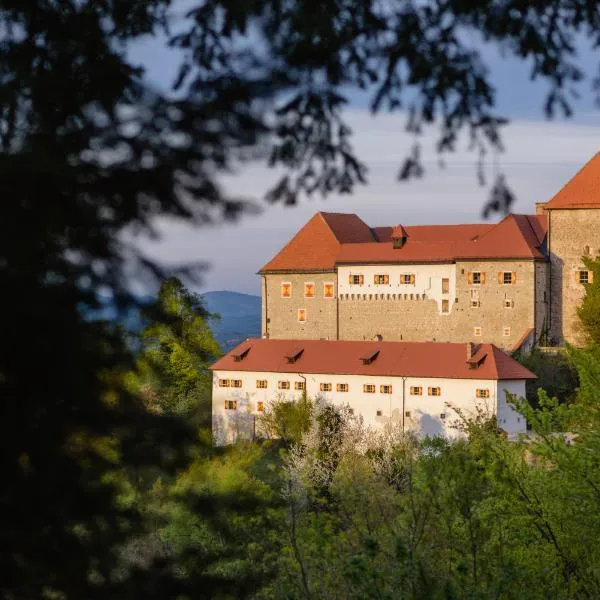 Rooms & Apartments Podsreda Castle, hotel in Brestanica