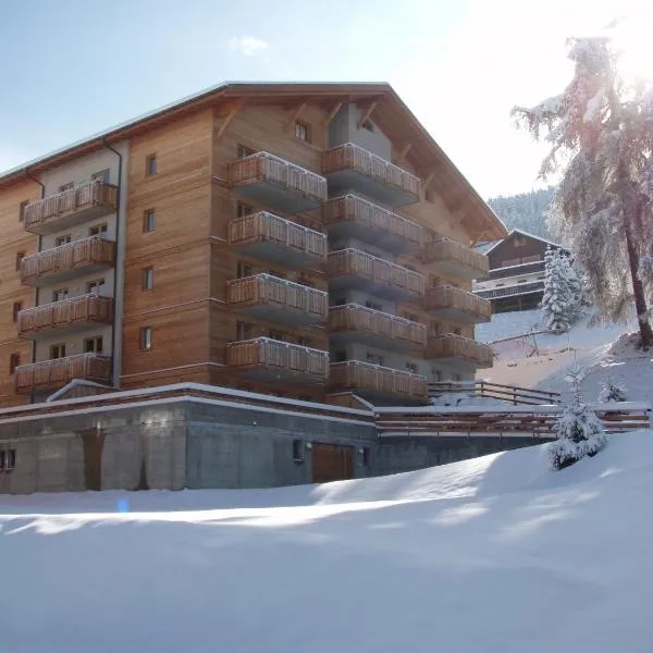 Pracondu 2 OUTDOOR & FUN appartement Superieur 3 pieces 6 pers, hotel v mestu Nendaz