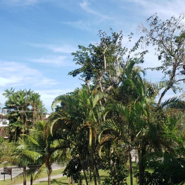 Hotel Nevada Ubatuba - Foto 5