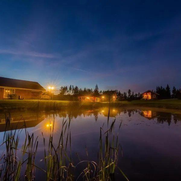 Viesu mājas Briedīši, hotel en Raiskums