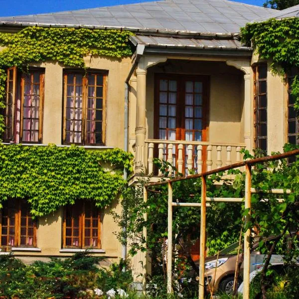 Maximus Wine Cellar,Bagdati Wine House, hotel in Dimi