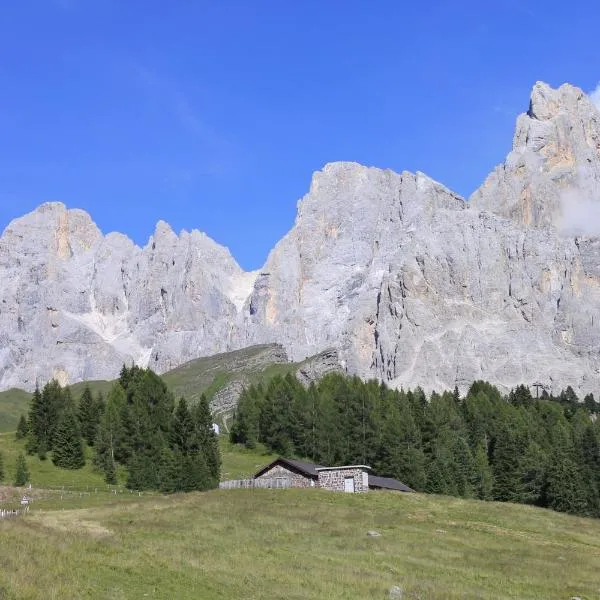 LA PULCE INNEVATA - Mansarda a due passi dal cielo - Dolomiti Affitti, hotel en Passo Rolle