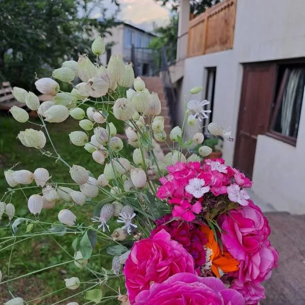 Irina's Guesthouse، فندق في ميستيا