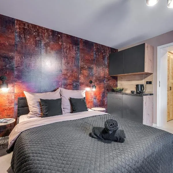 Loft House Apartment Studio z ogródkiem 1, hotel in Rybnik