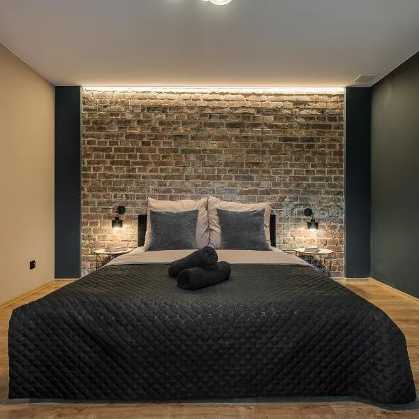 Loft House Double Apartament z ogródkiem, hotel in Rybnik