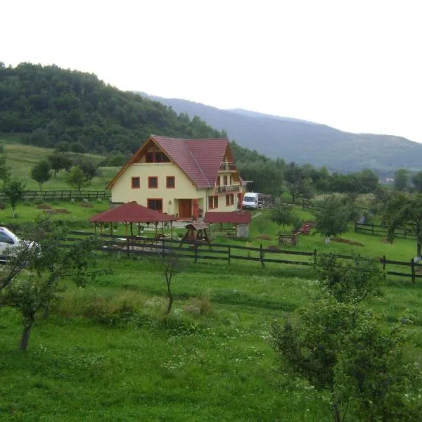 Pensiunea Printul Vlad, hotell i Tilişca