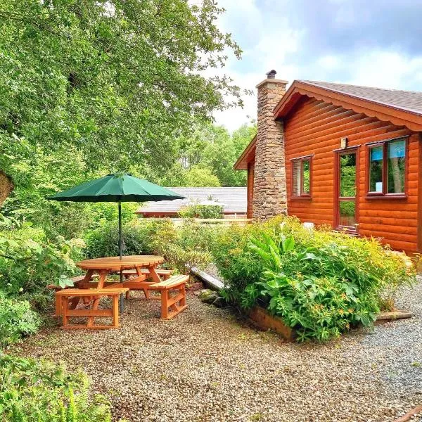 Wnion Wood Lodge with log burner & sauna in Snowdonia, hotel u gradu Dinas Mawddwy