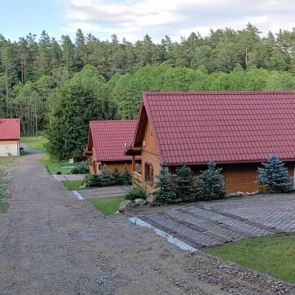 Lisie Bagno - Domki w Lesie Mazury, готель у місті Міломлин