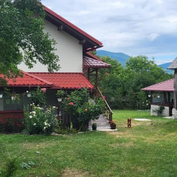 House Sara, hotel in Korenica