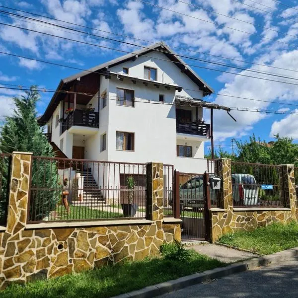 Vila San Nicoara, hotel din Albeştii Pământeni