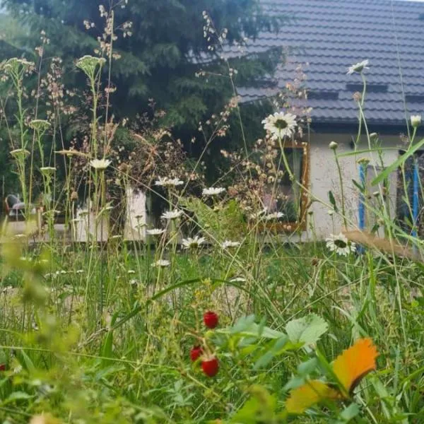 Casa Sebi, hotel u gradu Vatra Dornei