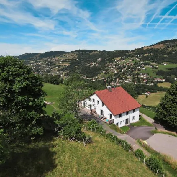 Gîtes de Moyenmont, hotel in La Bresse