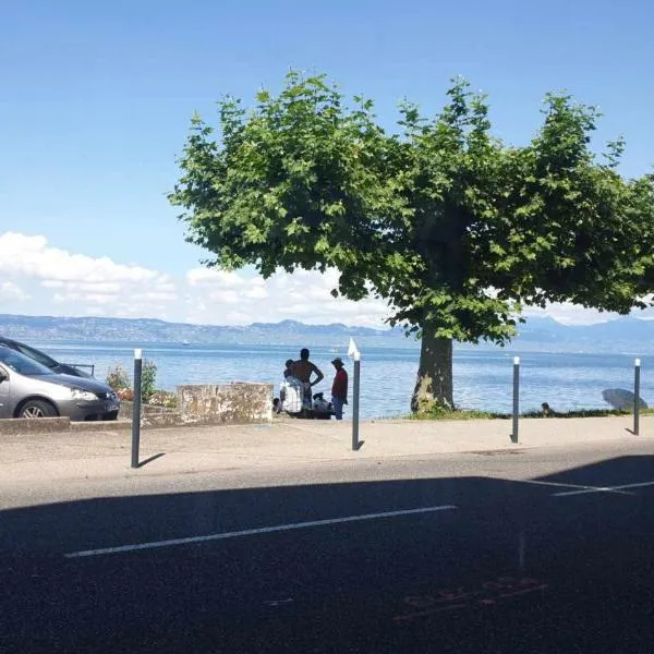 Superbe f1 en bord du lac, hotel in Publier