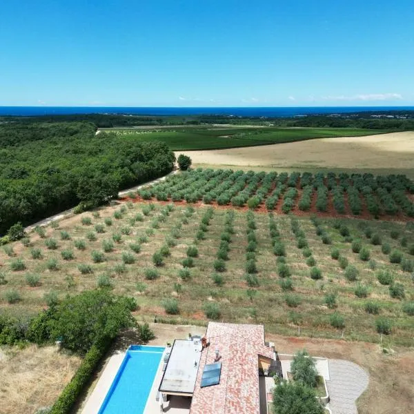 Villa Absolute privacy, hotel v Novigrad Istria
