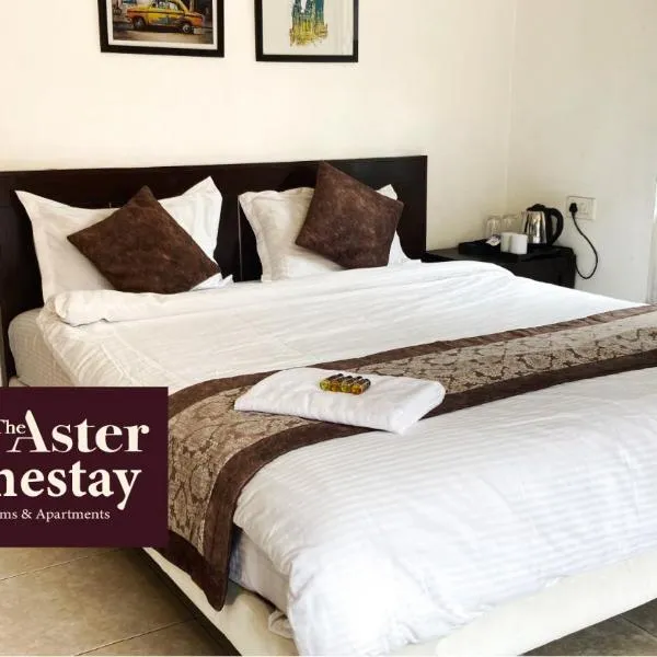 The Aster Homestay - Bedrooms & Apartments, hotel in Kolkata