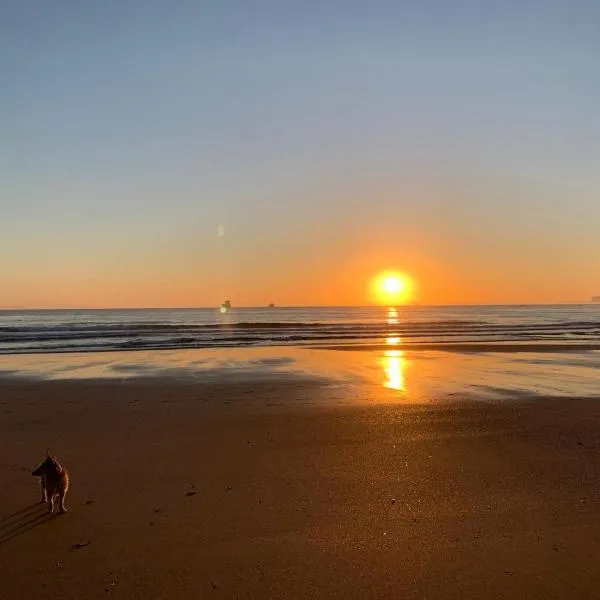 APARTAMENTOS NIZA, hotel in Santander