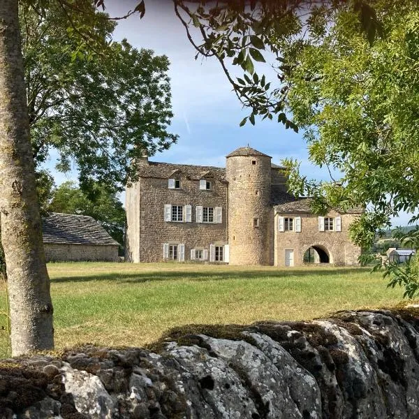 Les Distinguées - Manoir de Bessodes, hotell i Sévérac-le-Château