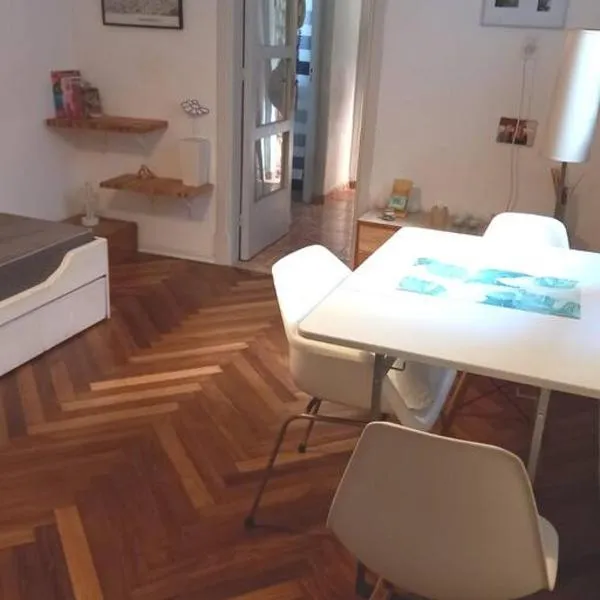 Cálido apartamento a 8 cuadras del mar y a 3 de 18 Julio Estarán acompañados por una gatita que vive alli, hotel en Montevideo