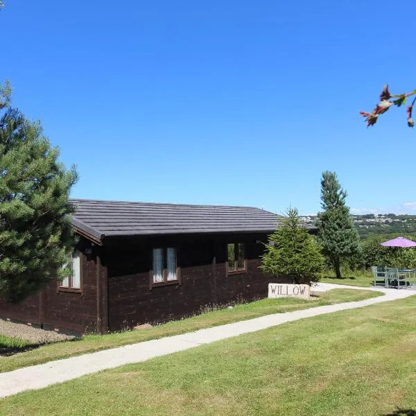 Willow Lodge, hotel v destinaci Bodmin