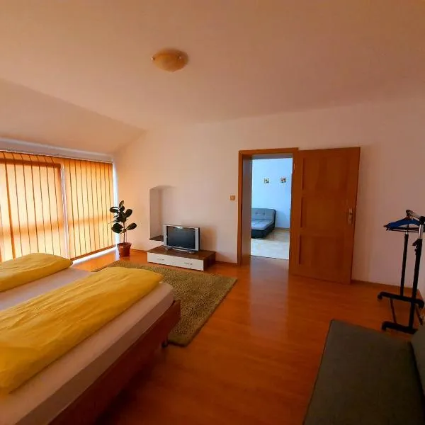 Apartmán U Slunečnice, hotel in Šipoun