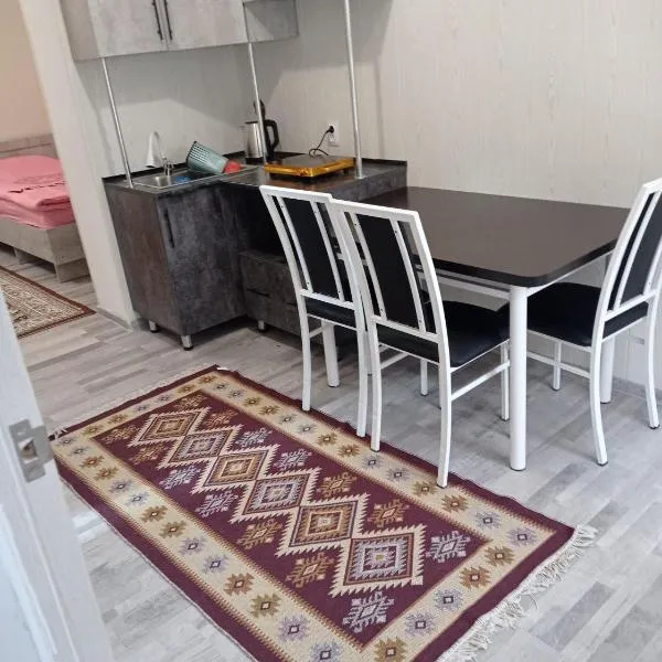 Pamko, hotel in Naryn