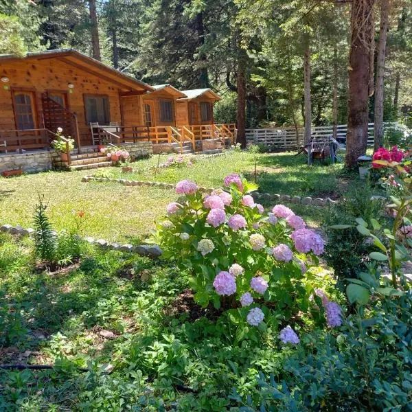 Bujtina Llogara, Log Cabins, hotel en Dukat