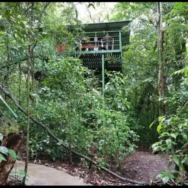 Jungle Living Tree Houses, hotel en Monteverde