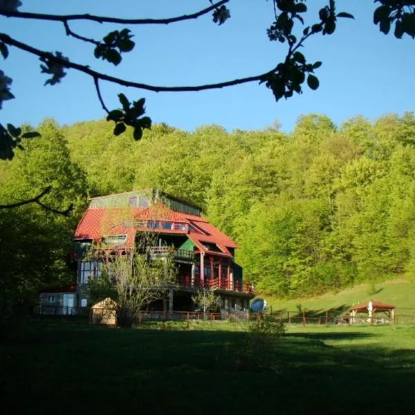 Barlogul Ursilor Lepsa, hotel en Lepşa