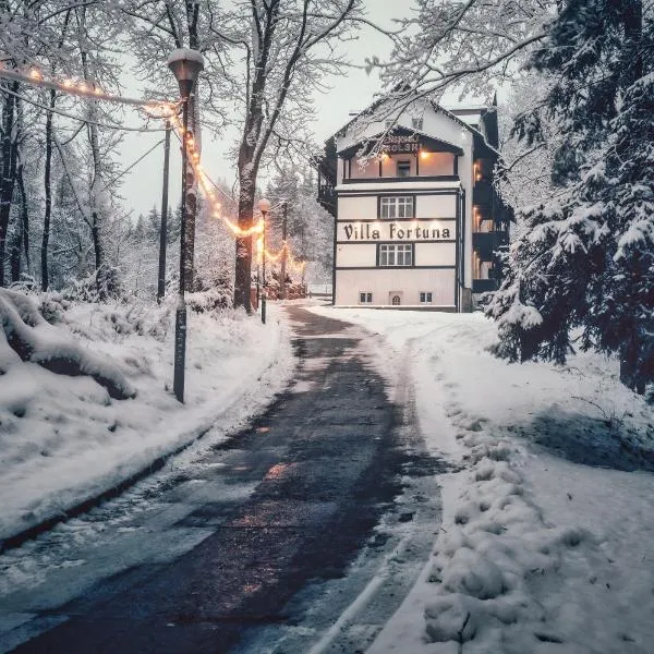 Villa Fortuna, ξενοδοχείο σε Duszniki Zdrój
