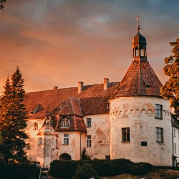 Jaunpils pils, hotel in Zebras Muiža