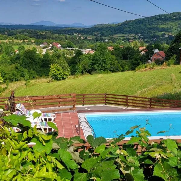 Vila Lisina, Hotel in Selište Drežničko