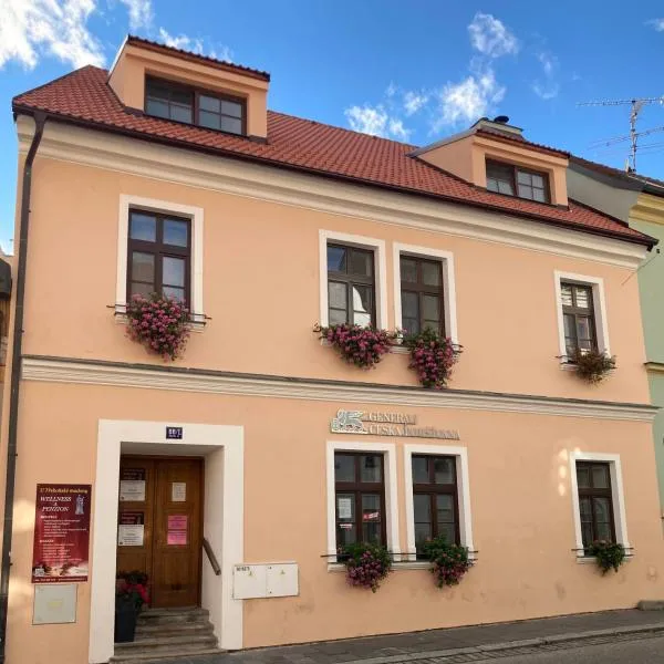Penzion a wellness U Třeboňské madony, hotel a Třeboň