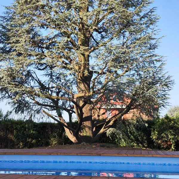 Villa Cresto, hotel in Gaglianico