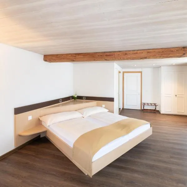 Hotel zum goldenen Kreuz, hotell sihtkohas Frauenfeld