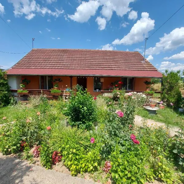 Casa de vacanta in Tara Fagarasului, hotel v destinaci Beclean