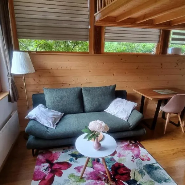 Grajski oddih，戈雷尼斯卡地區采爾克列的飯店