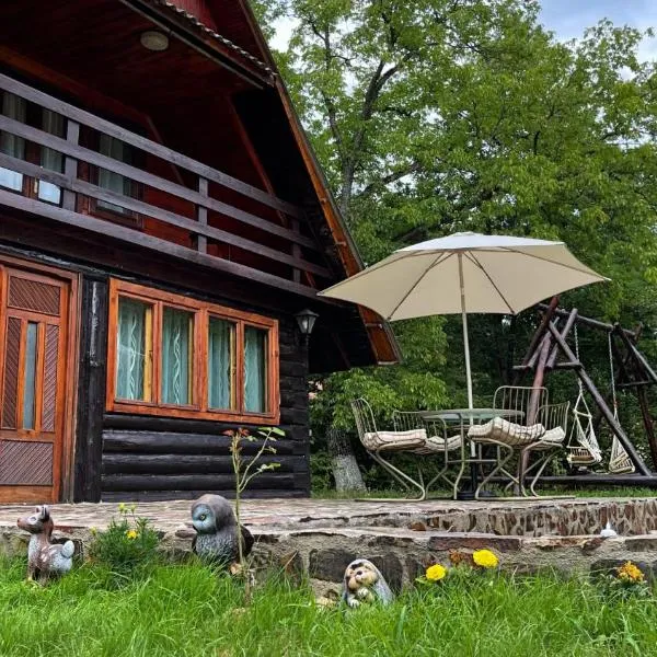 Cabana Paulina, hotel v destinaci Chişcău